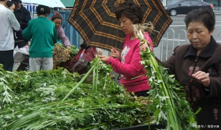 今年端午节哪天割艾草好？老人说“前三后四最合适”，有啥说法？（端午节割艾草的讲究视频）